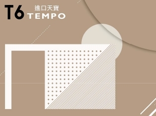 T6 TEMPO 抗指紋霧面