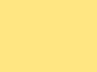 G005 YELLOW