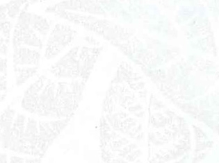 V1499G