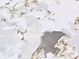 L9193